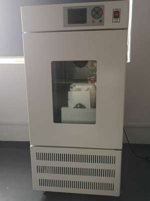 智能生化培养箱SPX-150B 无锡农林牧渔领域的植物催芽利器